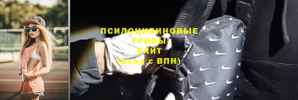 бошки Ладушкин