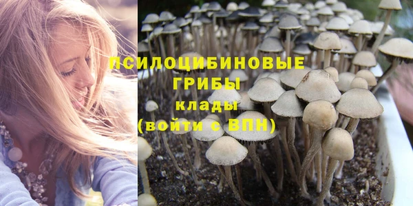 бошки Ладушкин