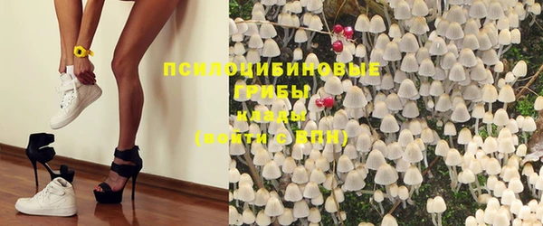 бошки Ладушкин