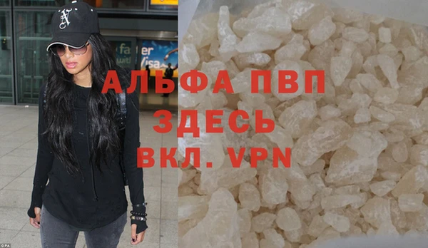 бошки Ладушкин