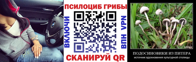 хочу наркоту  Сосновоборск  Псилоцибиновые грибы Magic Shrooms 