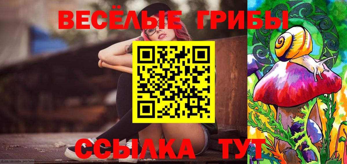 Галлюциногенные грибы Cubensis  Псилоцибиновые грибы Cubensis  Сосновоборск  Вход с VPN 