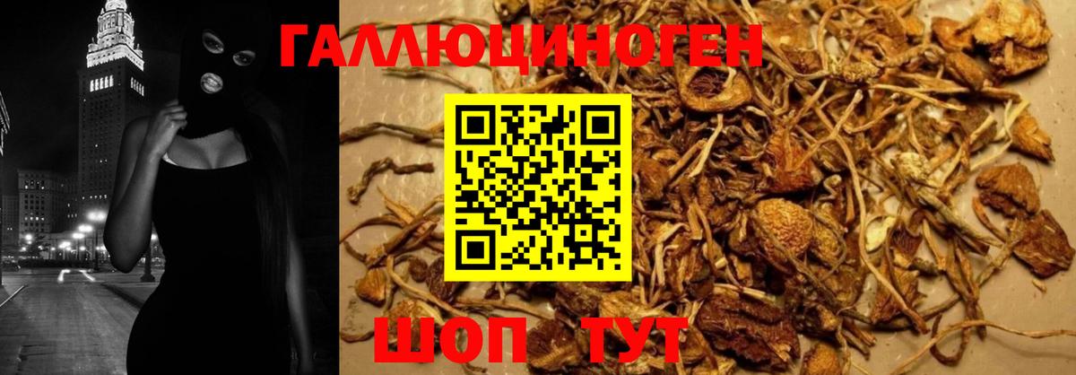 Псилоцибиновые грибы GOLDEN TEACHER Сосновоборск